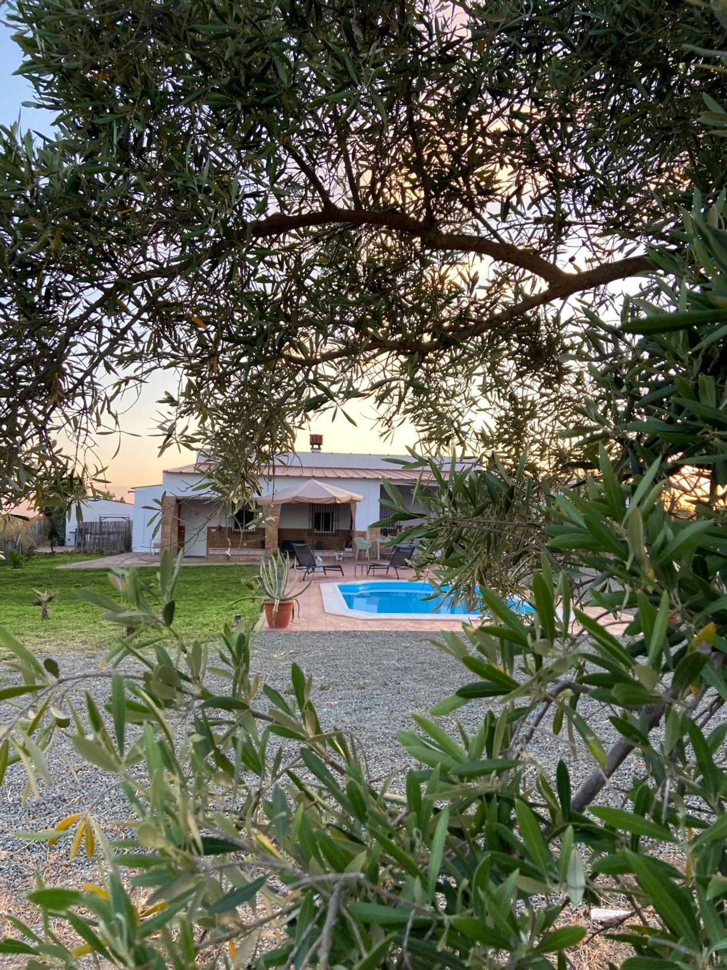 Ferienwohnung Hacienda Donaire Beas Exterior foto
